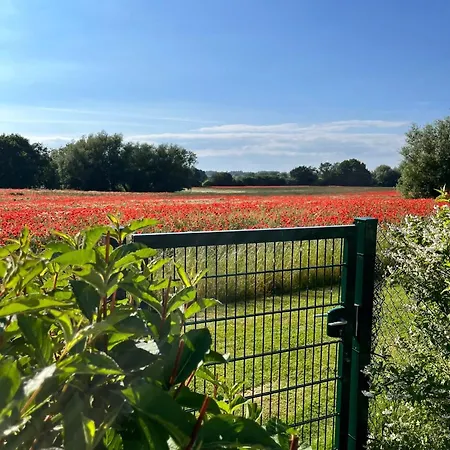 Landidyll Elmenhorst 02 Apartmán Kalkhorst