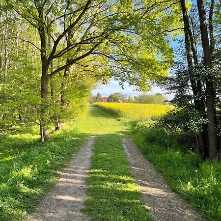 Apartmán Landidyll Elmenhorst 02