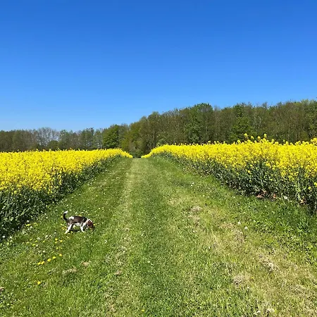 Landidyll Elmenhorst 02 * Kalkhorst