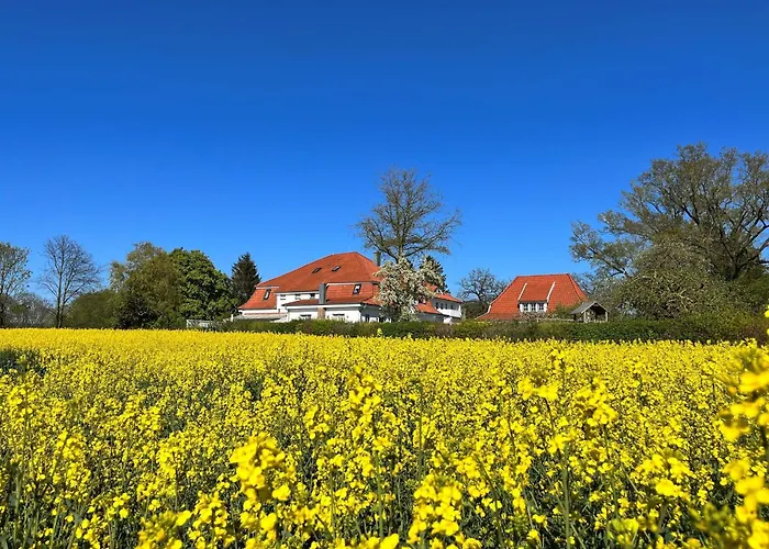 公寓 Landidyll Elmenhorst 02